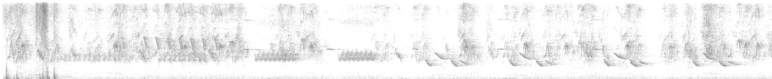キバナシマセゲラ（aurifrons） - ML592987941