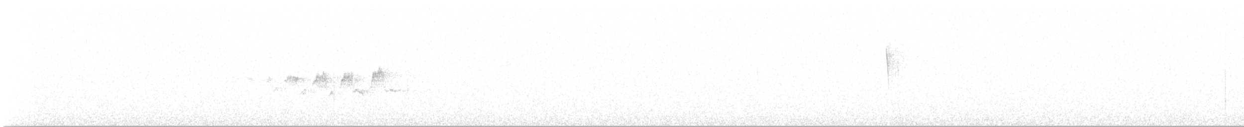 Black-throated Gray Warbler - ML592995361