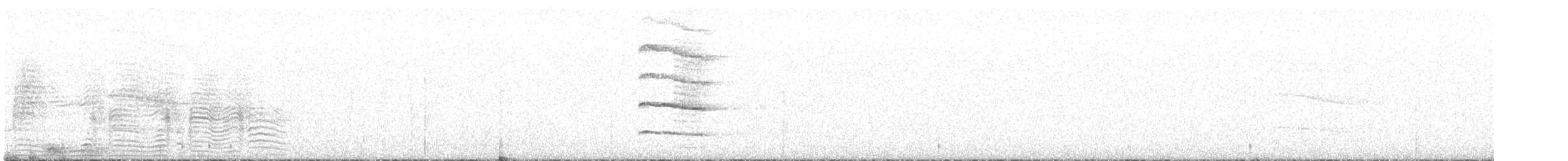 buřňák šedý (ssp. borealis) - ML593031181