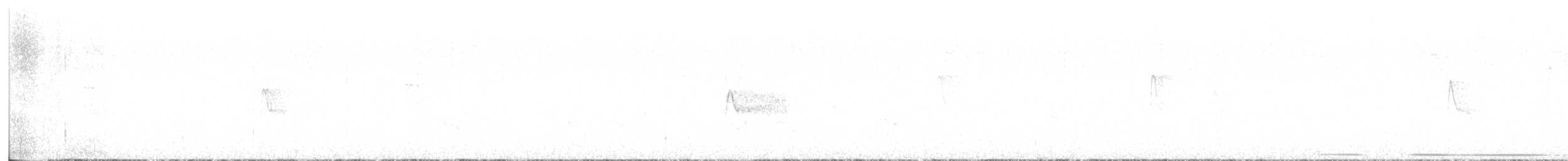 holub bledočelý - ML593032601