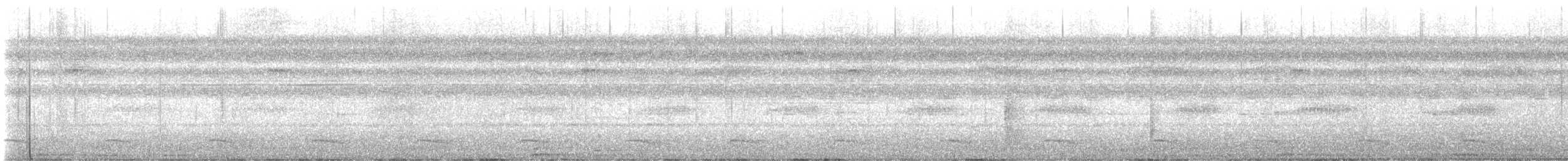 Kuzeyli Kara Gerdanlı Trogon - ML593048971