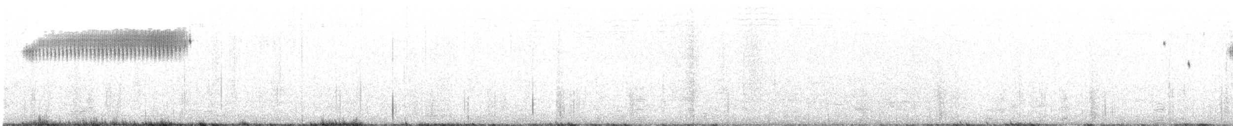 Кузнечиковая овсянка-барсучок - ML593069011