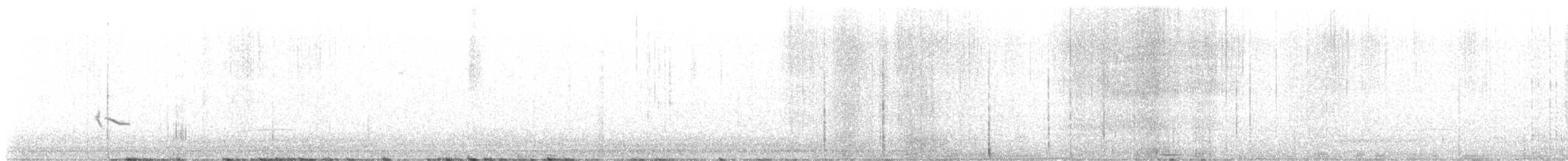 Plectrophane lapon - ML593079491