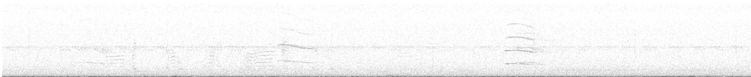 buřňák šedý (ssp. borealis) - ML593088221