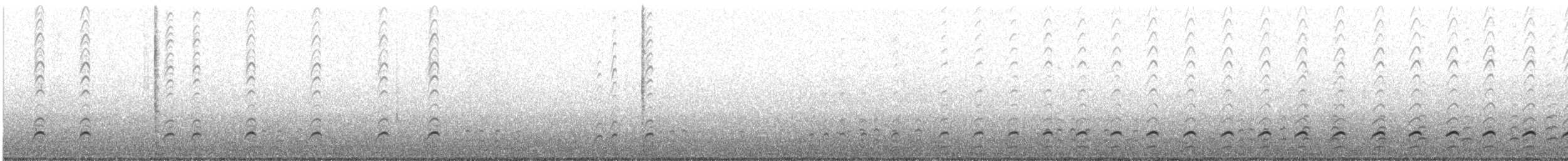 dytík bledý - ML593101791