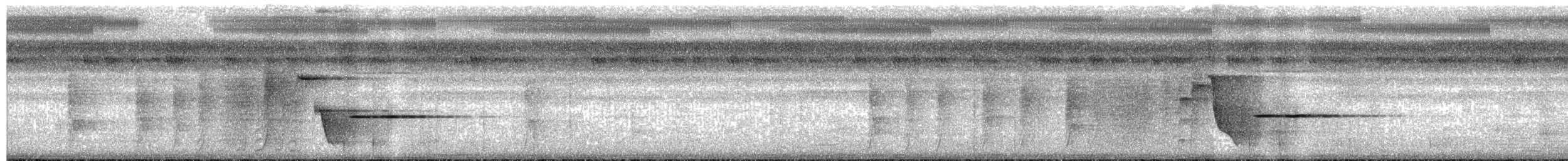 Dickichtfächerschwanz - ML593107211