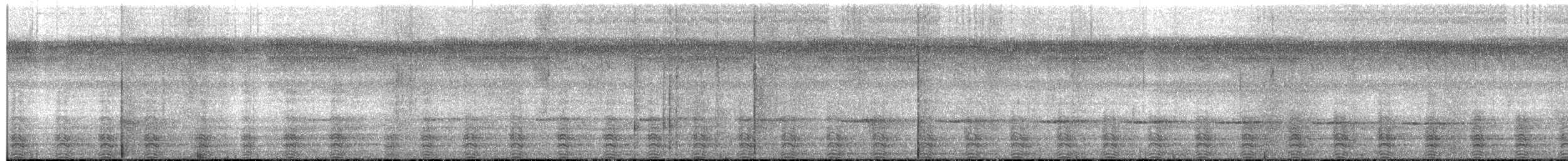 Blyth's Hornbill - ML593108821