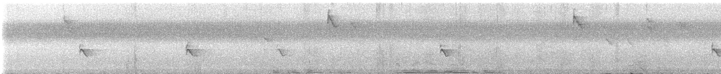 Sulawesi Myzomela - ML593113391