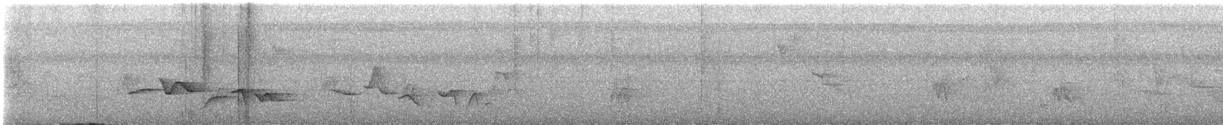 Spot-breasted Wren - ML593178201