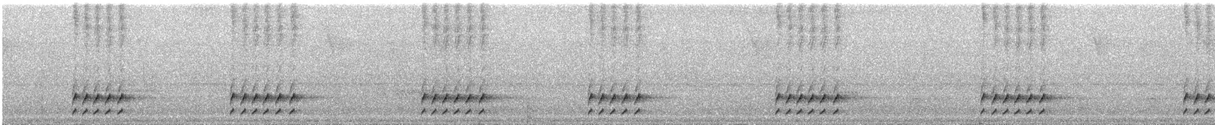 Short-tailed Antthrush - ML593214731