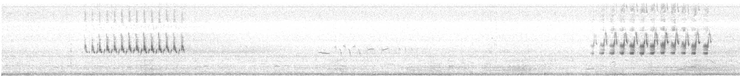Rock Wren - ML593246691
