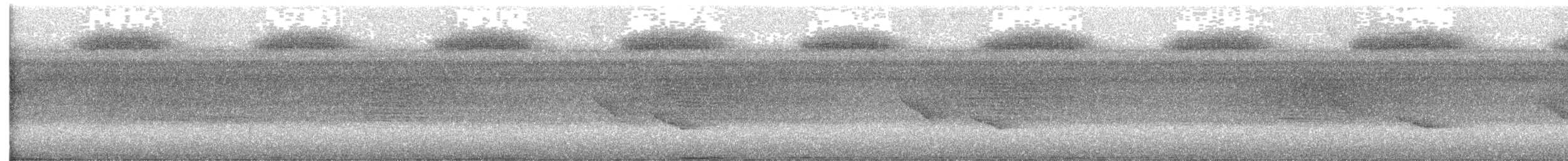 Белогорлая сорокопутовая танагра - ML593294731