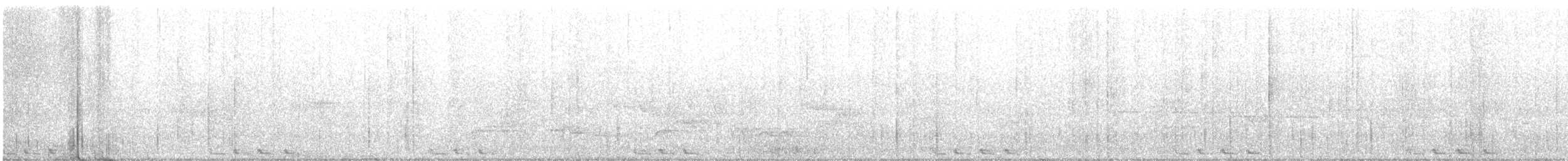 Black-billed Cuckoo - ML593297061