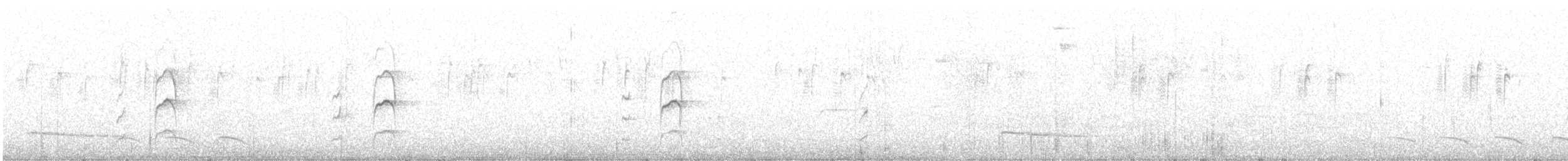 Trogon masqué - ML593315471