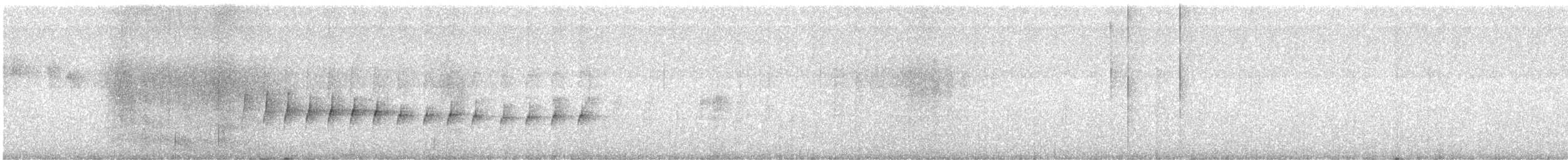 Тиранчик-довгохвіст білогорлий - ML593320471