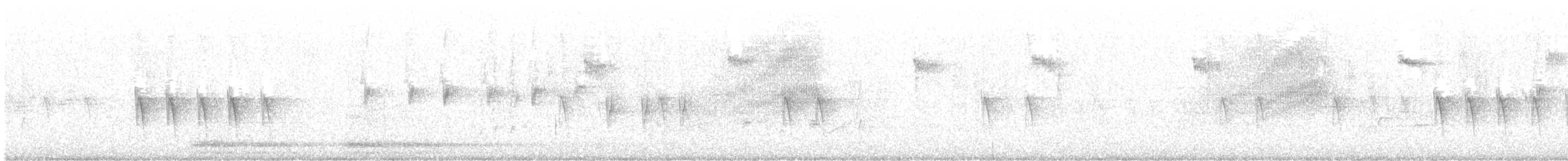 Fichtenkreuzschnabel (Typ 3) - ML593324141