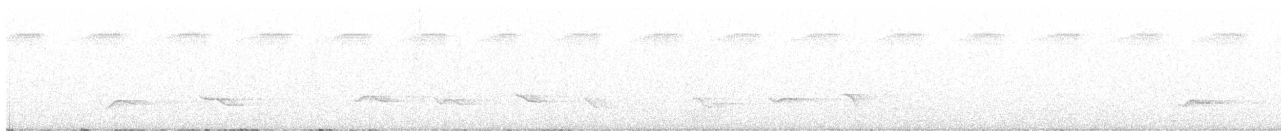 hvitlinjehonningeter - ML593334381