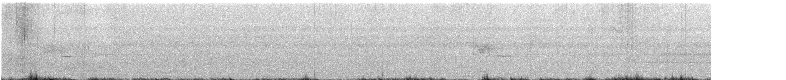 špaček bělokrký - ML593337281