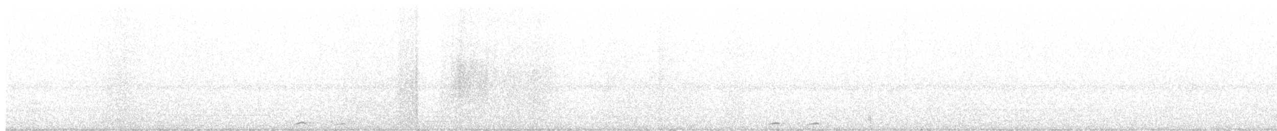 sovka štěkavá - ML593338821