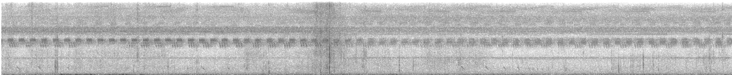 Sulawesi Nightjar - ML593340301