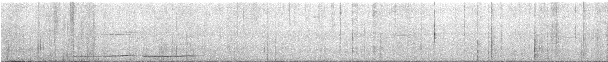 sulawesipitta (celebensis) - ML593341221