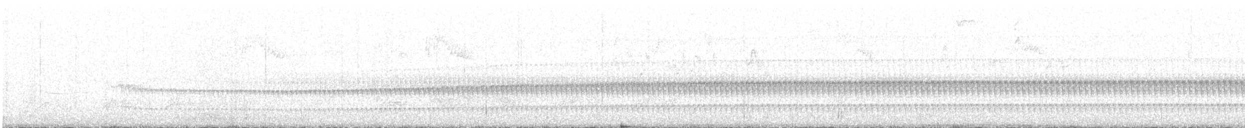 Trilling Tapaculo - ML593349301