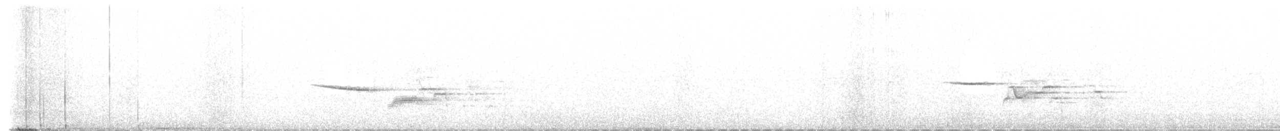 Дрізд-короткодзьоб плямистоволий - ML593355311