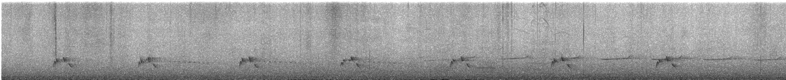 Corbeau de Tasmanie - ML593361381
