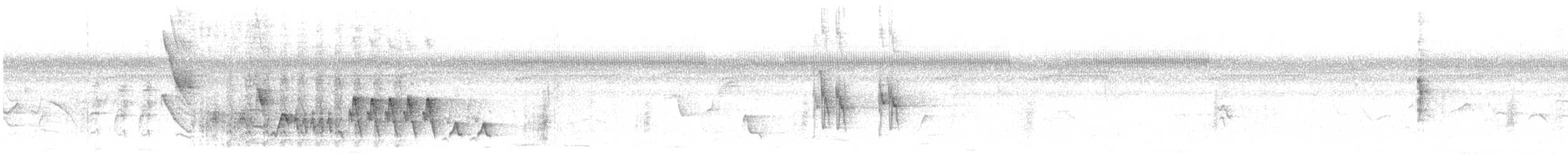 Troglodyte familier (groupe musculus) - ML593398401