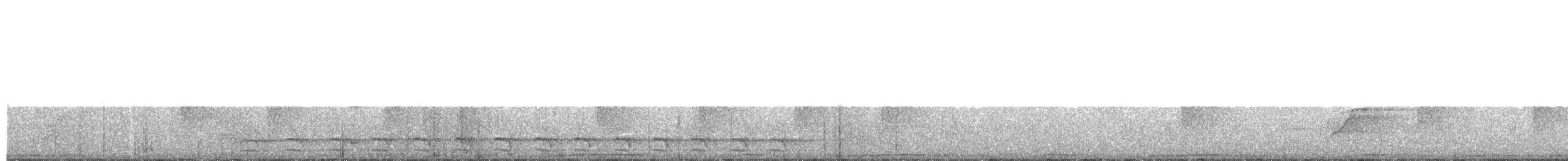 White-shouldered Antshrike - ML593404861