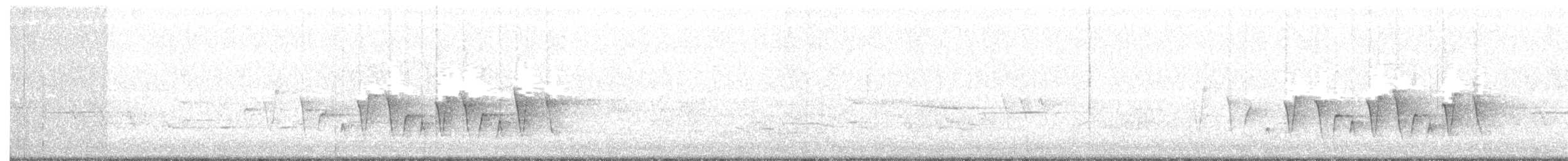 Paruline à gorge grise - ML59342521
