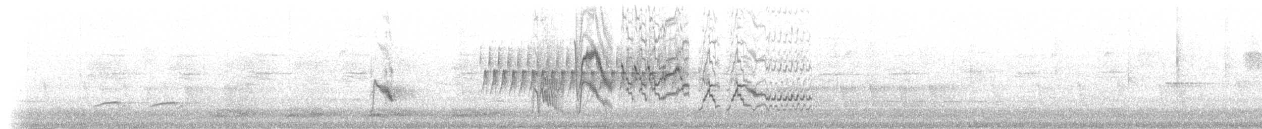 Grauwangen-Musendrossel - ML59342801