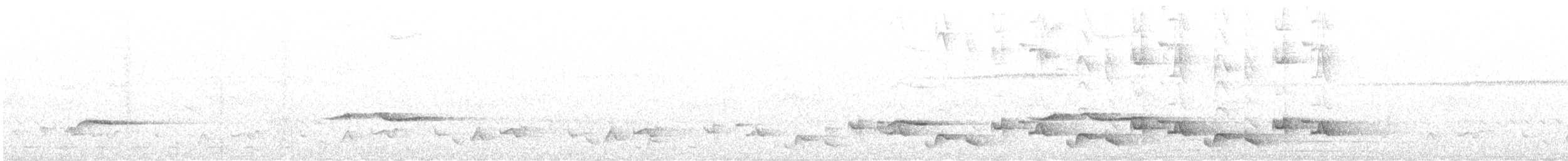 hvitbryntrosteskvett - ML593432781