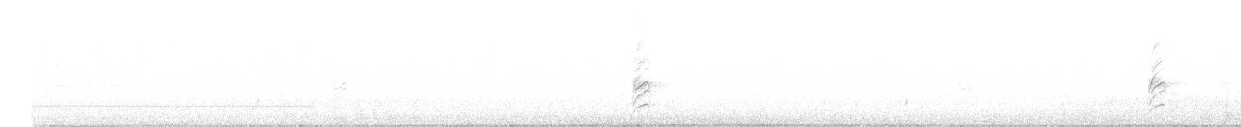 Austral Thrush - ML593480251