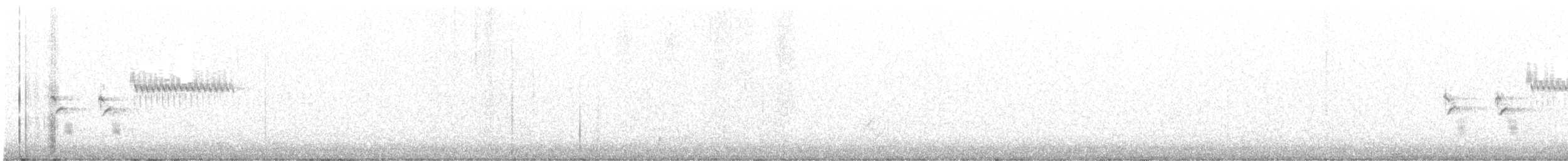 Тауї плямистий - ML593483811