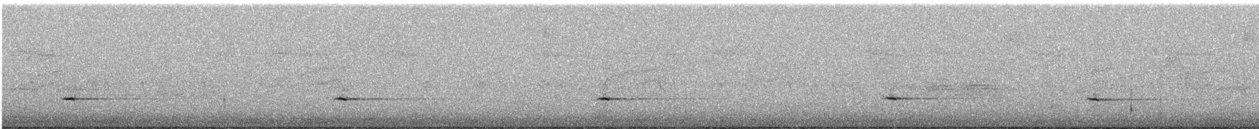 Townsend's Solitaire - ML593497861