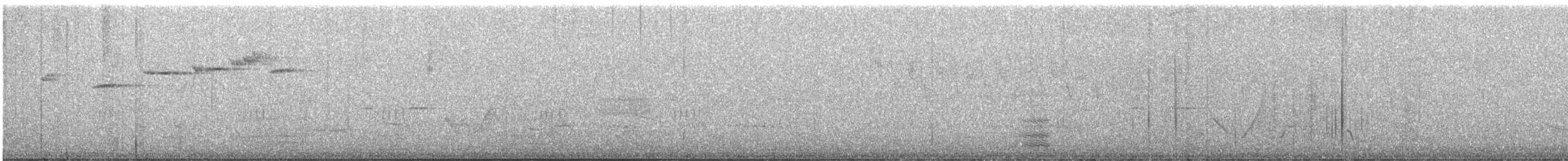 hvithodehonningskvett - ML593522431