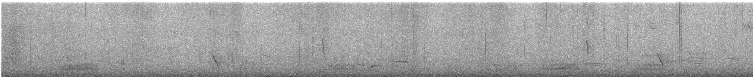 Тасманийский ворон - ML593523081