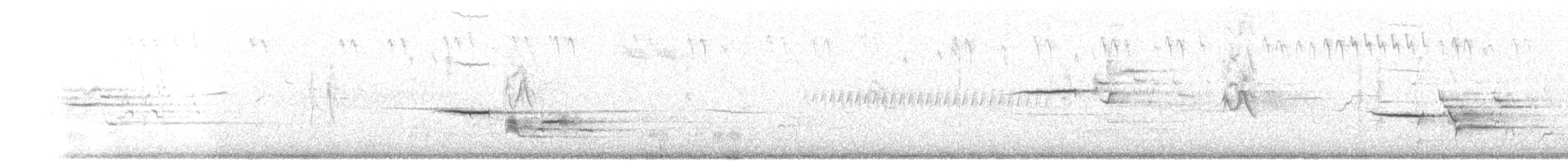 Дрізд-короткодзьоб плямистоволий - ML593523371