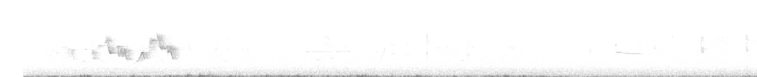 Common Yellowthroat - ML593536141