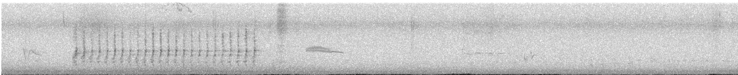 Geai de Steller (groupe diademata) - ML593541271