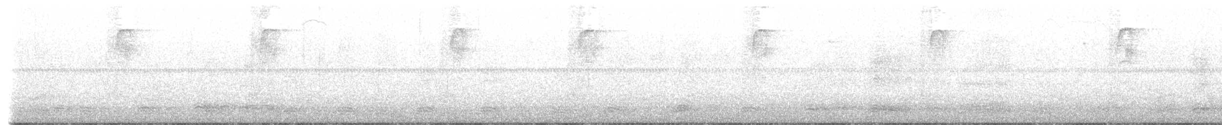 Каролинский крапивник - ML593546191