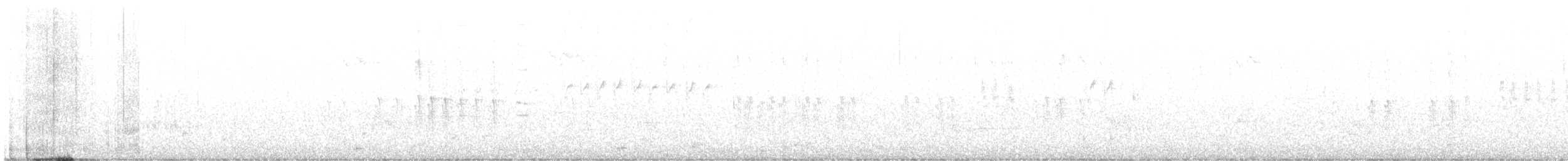 White-winged Crossbill - ML593552961