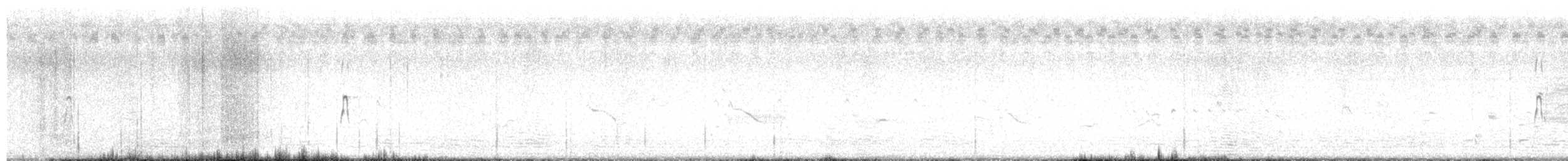 חרטומנית ארוכת-מקור - ML593561971