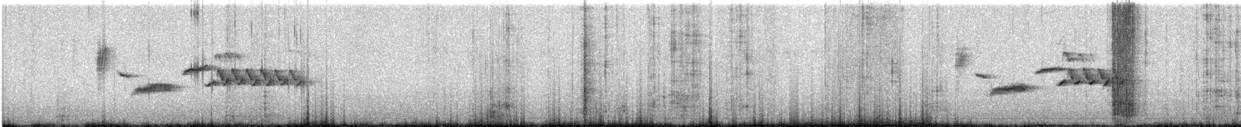 Troglodyte de Bewick - ML593566511