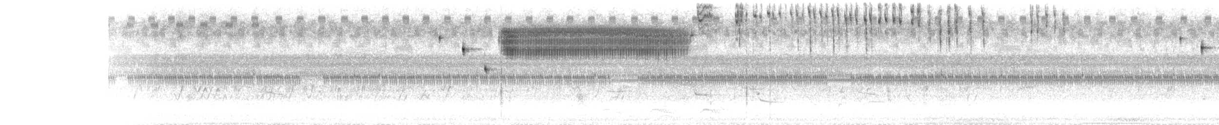 イナゴヒメドリ - ML593577001