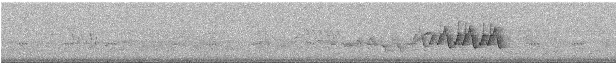 Hooded Yellowthroat - ML593584121