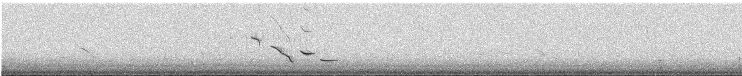 Chihuahuan Meadowlark - ML593588751