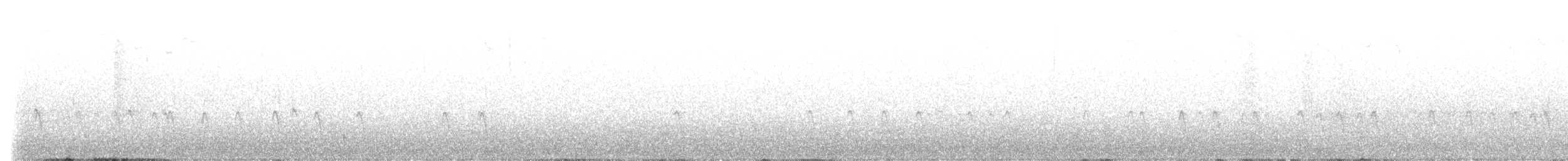 Шишкар ялиновий - ML593618351