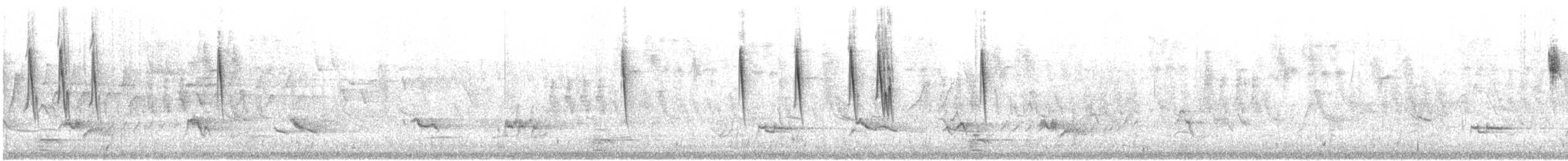 Yellow Warbler (Northern) - ML593618621